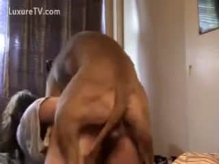 Private Time with a Canine