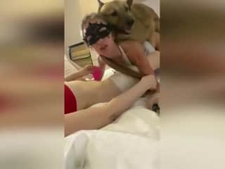 Taboo: A Beastly Encounter