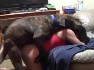 Fond of a Warm Tongue - A Zoophilia Short