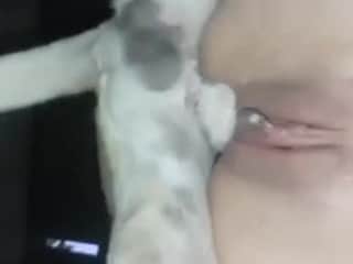 Woman and Dog: An Unlikely Encounter