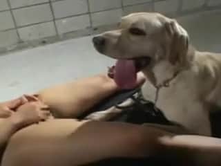 Animal Passions: A Girl, Her Dog,
