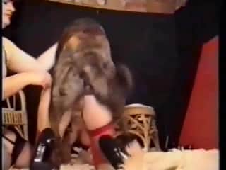 Amy and Calvista's Tense Dog Night