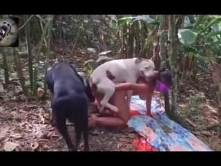 Two Dogs Dominate Latin Woman