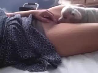 Eager Dog Greets Young Woman