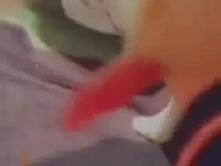 Teen and Dog on Snapchat: Kisses and Oral Intimacy