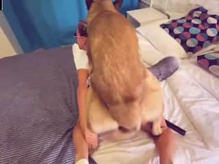 A woman's infidelity leads to an encounter with a dog