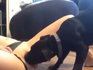 Teen Mom 2: Animal Attraction