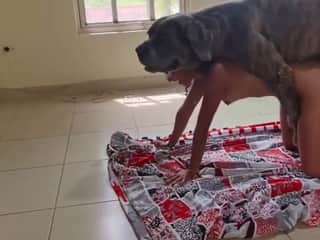 Xxx sex video with a slut and her dog