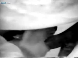 A forbidden experience with a horse