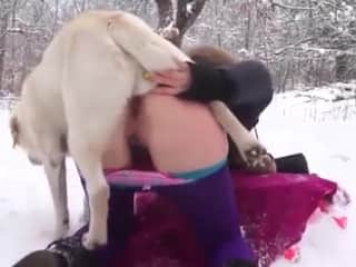 Woman and dog in the forest