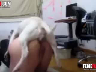 female dog Submissive to Her Best Friend