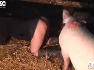 Kerstins Farm - A farm like no other