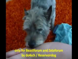 Man's faithful friend