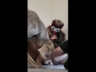 Beyond the Limits: Unveil the Secret Zoofile World