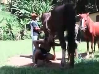 Insatiable individual experiences pleasure while engaging in oral activities with a horse