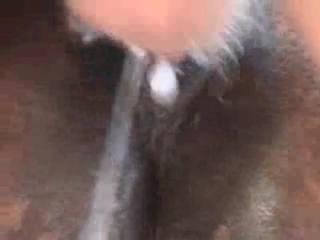 Disturbed man aggressively engages with a horse to relieve his intense sexual frustration