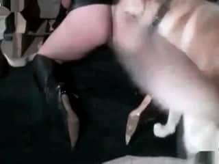 Chick with pierced kitty indulges in intense zoo anal play with a dog
