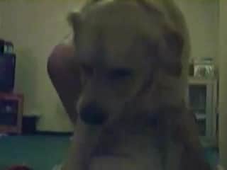 Slender darling allows her labrador to investigate her wet intimacy