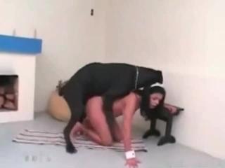 Brunette caresses herself to entice her pet dog into a zoo sexual encounter