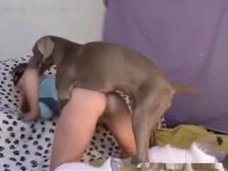 A dog mounts a girl on all fours as she wears her sexy boots