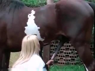 Attractive blonde veterinarian stimulating a stallion's large member