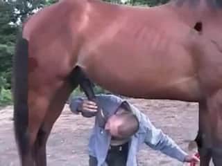 Filthy bitch deepthroats huge black cock of stallion on cam