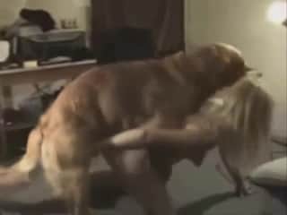 Sensual pleasure for a sultry blonde spouse in DIY zoo fantasies