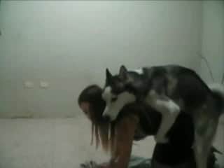 Dog is going to screw a lady in black on all fours