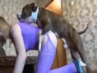 Skinny blonde model cam fucked by her furry dog