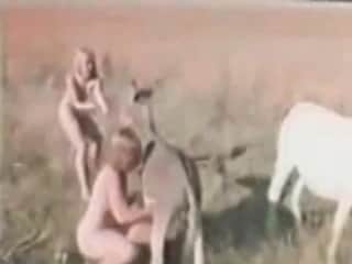 Retro zoo porn clips