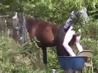 Mare fucked by a guy outdoor