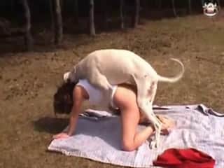 Outdoor dog sex makes this girl happy