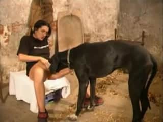Amateur woman keeps her legs wide open for her dog