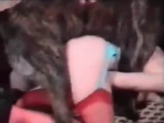 Two zoophile sluts get involved in bestiality sex