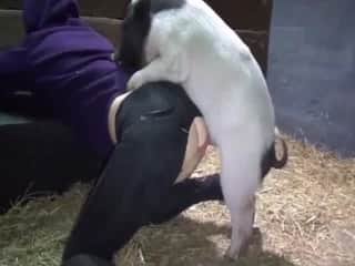 Lady bends over for doggy-style drilling from horny pig