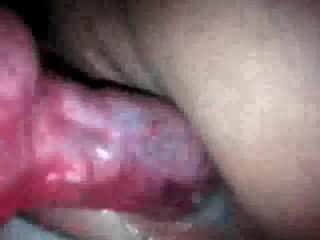 Close-up dog cumshot clip