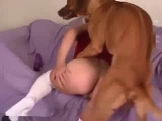 Masked blonde zoophile lets brown dog fuck her