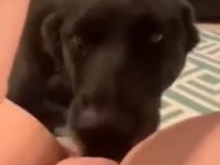 Woman and her dog in an intimate relationship