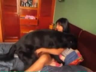 Woman and Dog: A Forbidden Meeting