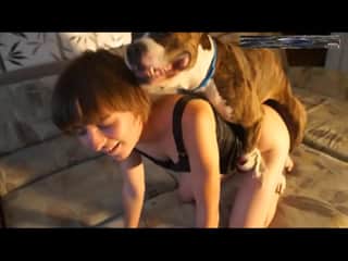 First Anal Sex Experience with a Dog