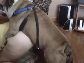 My girlfriend and her dog: an unexpected encounter