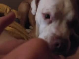 Slut Gives Herself to Her Dog