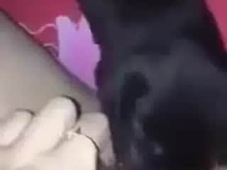Dog licks a woman's private parts like a pro