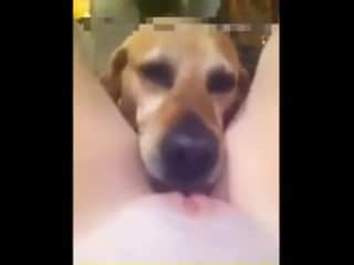 Intimate Moment: Women and Dog Collection