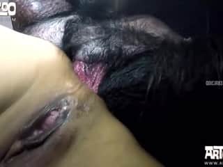 Close up amazing dogsex encounter