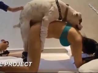 Woman and Dog - A Forbidden Encounter
