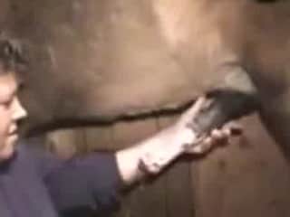 Forbidden Intimacy: A Wild Encounter