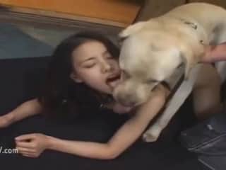 Asian Girls and Dogs: An Exciting Compilation