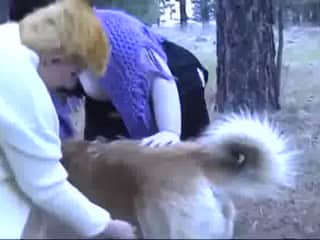 Two women and two dogs in the forest