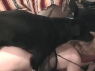 Animal-loving MILF offers her moist intimacy to a lustful dog